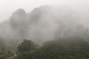 Neuseeland 2006