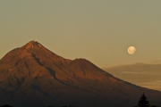 Neuseeland 2006