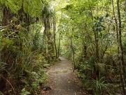 Neuseeland 2006