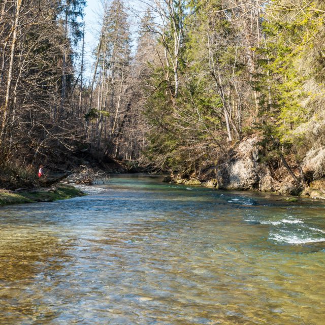 Mangfall Valley near Maxlmühle in the Spring 2019